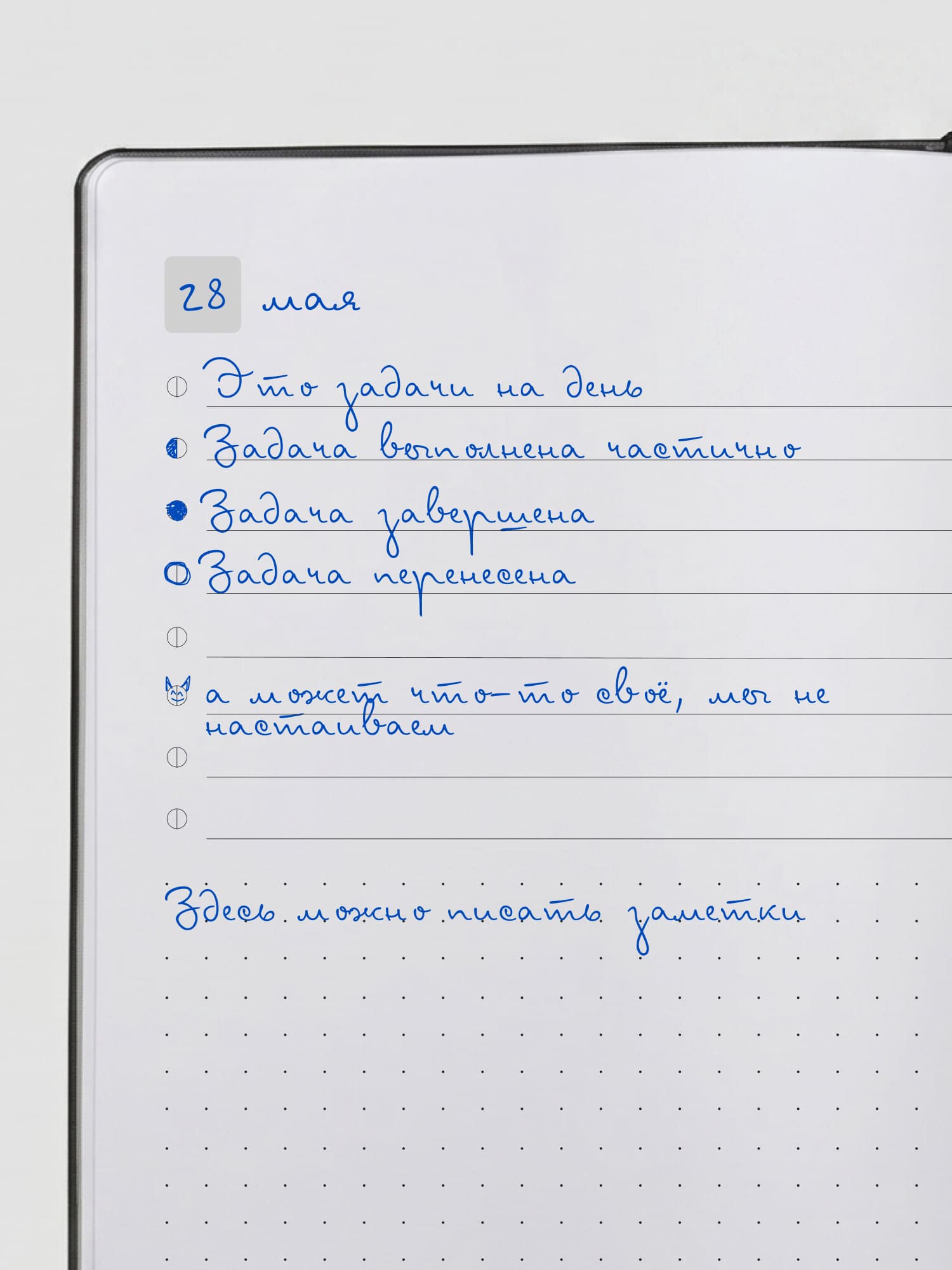 Ежедневник-таскер M° 4035
